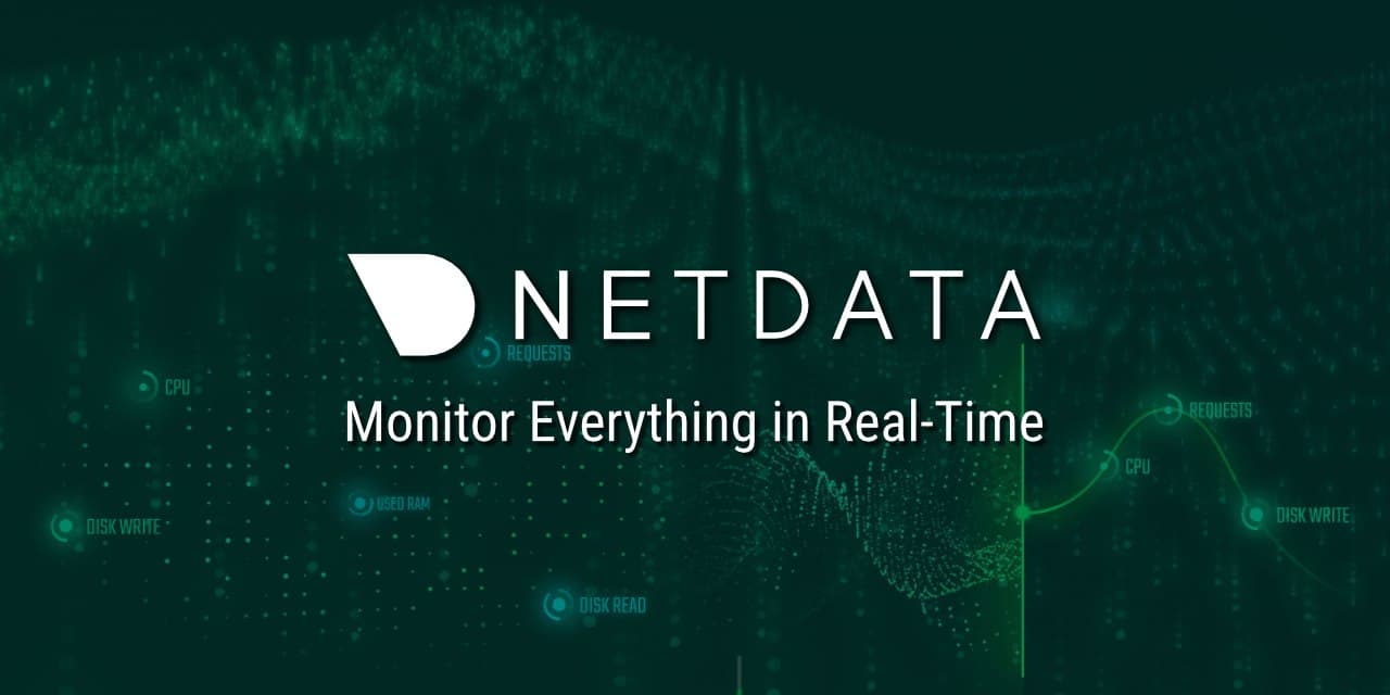 Netdata. Netdata логотип. Performance Monitor. Netdata logo.